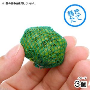 チャーム（charm） （水草）巻きたて ロックウール付 キューバパール