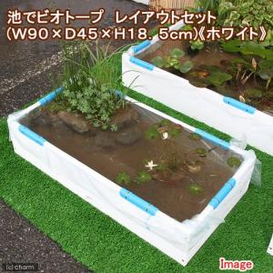 （ビオトープ）（めだか）池でビオトープ　レイアウトセット（Ｗ９０×Ｄ４５×Ｈ１８．５ｃｍ）　ホワイト　ヒメダカ付　本州四国限定｜chanet