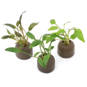 アクロ TRIANGLE LED GROW Pro 300 4450lm