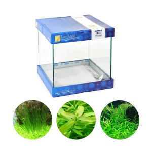 チャーム（charm） （熱帯魚）（水草）エーハイムEJ−60（60