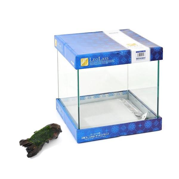 （水草）クリスタルキューブ　３００＋巻きたて　ウィローモス付　流木　ＳＳサイズ（無農薬）（１本）　本...