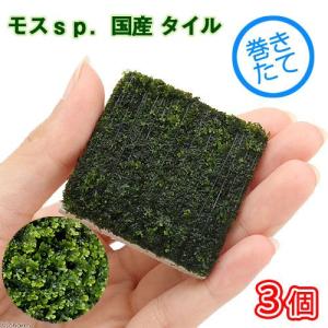 ゼンスイ 水槽用クーラー ZR−130E 〜500L アクアリウム