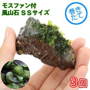 Chihiros WRGB II PRO 45・90用 ミラー付