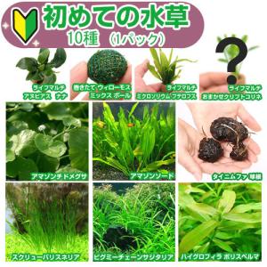 GEX（ジェックス） FLUVAL PLANT 900 90〜120cm
