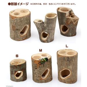 フジコン プレミアム インセクトシェルター M...の詳細画像2