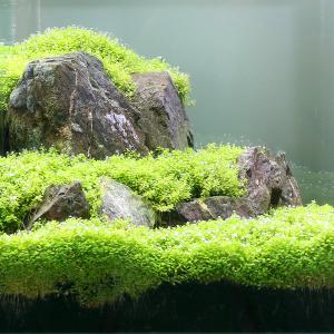 流木 石 チャーム Charm Paypayモール店 通販 Paypayモール