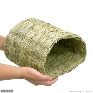 川井 トンネルハウス うさぎ お家の詳細画像1