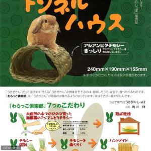川井 トンネルハウス うさぎ お家の詳細画像2