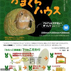川井 かまくらハウス Mの詳細画像2