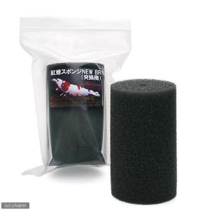 スポンジNEW BR 交換用の商品画像