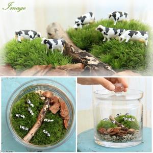 (観葉植物)苔テラリウム 大きな牧場 牛 ガラ...の詳細画像1