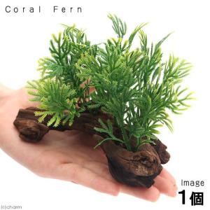 アーティフィシャルプランツ流木付 Coral Fern