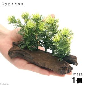 アーティフィシャルプランツ流木付 Cypress