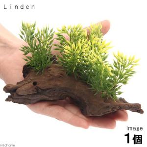 アーティフィシャルプランツ流木付 Linden