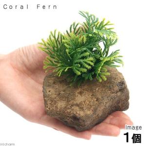 穴あき溶岩石付 アーティフィシャルプランツ Coral Fern