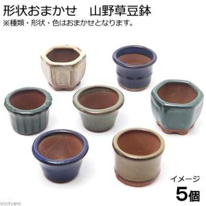 盆栽鉢 「瀬戸焼文山窯色豆鉢6点セット」 植木鉢 色鉢 豆鉢 1号3cm