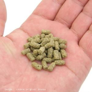 ハムスターセレクション 400g ハムスターフ...の詳細画像1