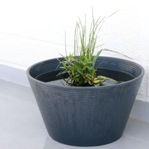 (ビオトープ)水生植物 メダカの隠れ家 置くだ...の詳細画像2