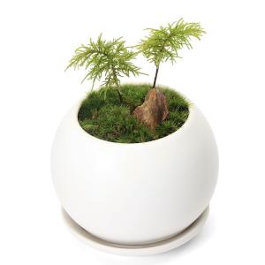 トーシン プランター K型 TK-900 GRC 景観色 穴あり W900×D330×H340mm