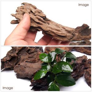 GEX 天然流木 ミニサイズ(約10〜25cm...の詳細画像1