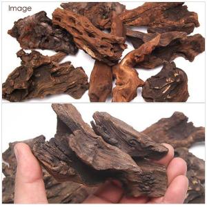 GEX 天然流木 ミニサイズ(約10〜25cm...の詳細画像2