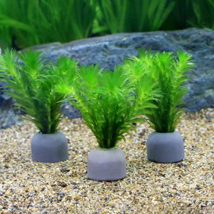 水草 アナカリス 鉛巻き 3束（約30本） : アクアペットサービス ヤフー