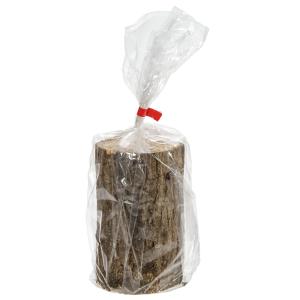 コナラ産卵木 中目 並材 1本 昆虫 クワガタ用の詳細画像4