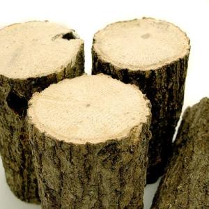 クヌギ産卵木 細目 1本 昆虫 クワガタ用の詳細画像1