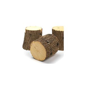 クヌギ産卵木　太目　良材　（１本）