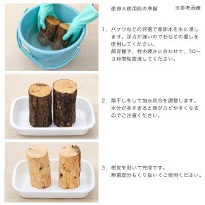 クヌギ産卵木 太目 良材 (1本)の詳細画像1