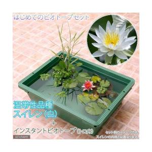 (ビオトープ)(めだか)本格派ビオトープセット...の詳細画像1