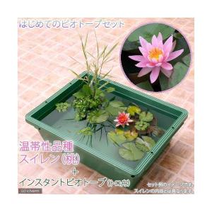 (ビオトープ)(めだか)本格派ビオトープセット...の詳細画像1