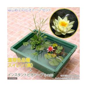 (ビオトープ)(めだか)本格派ビオトープセット...の詳細画像1