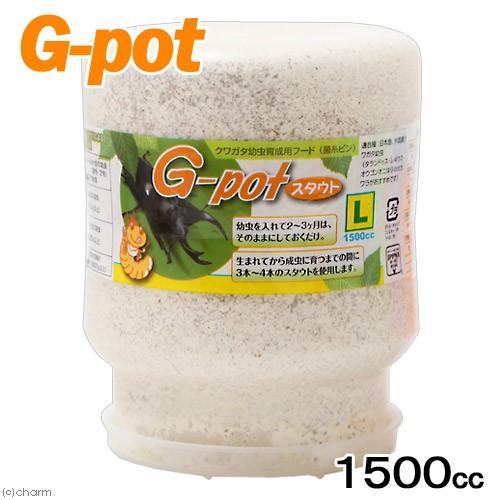 冷蔵★菌糸ビン　Ｇ−ｐｏｔ　スタウト　１５００ｃｃ　１本　別途クール手数料　常温商品同梱不可