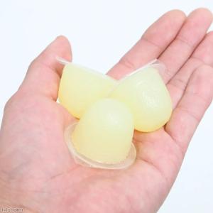 昆虫ゼリー すこやかゼリー (16g 100個...の詳細画像2