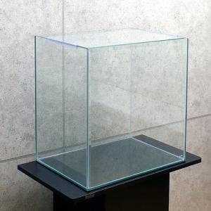 お一人様１点限り　アクアリウムタンク　キューブ　４５０Ｈ（４５×３０×４５ｃｍ）　４５ｃｍ水槽（単体）　関東当日便