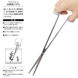 カミハタ アクアフィオーレ AQUA FIOR...の詳細画像1