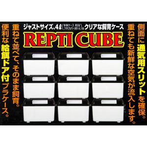 爬虫類ケージ スドー REPTI CUBE レ...の詳細画像5