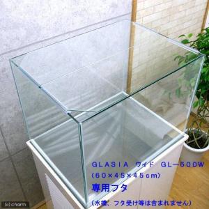 ＧＬＡＳＩＡ　ワイド　ＧＬ−６００Ｗ用ガラスフタ　１枚（幅５８３×奥行２１６×厚さ３ｍｍ）