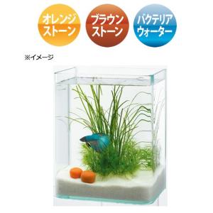 水作 ベタ・ストーン 淡水用の詳細画像1