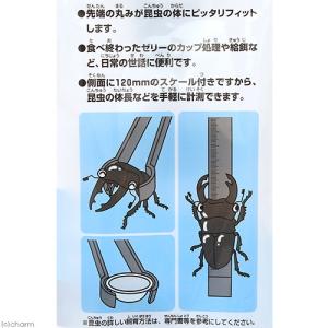 ミタニ 昆虫専用ピンセット 昆虫 標本用品 カ...の詳細画像1