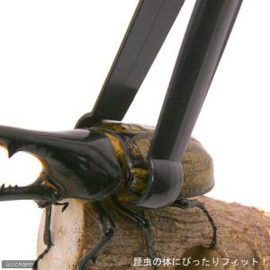 ミタニ 昆虫専用ピンセット 昆虫 標本用品 カ...の詳細画像2