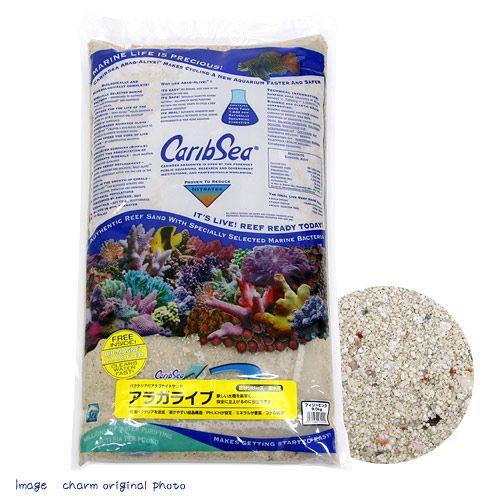 カミハタ　カリブシー　アラガライブ　フィジーピンク　ライブサンド　２０ｌｂｓ（約９．０７ｋｇ）　お一...