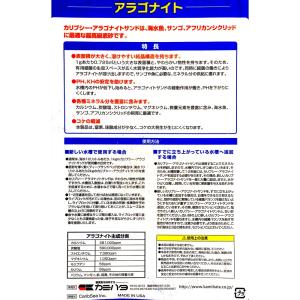カミハタ カリブシー アラゴナイト シーフロー...の詳細画像2