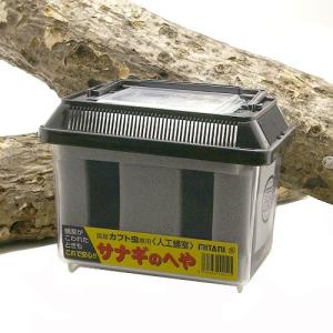 サナギのへや ミタニ 人口蛹室 BK-09 観察