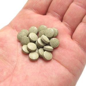 コメット どじょうのエサ 8gの詳細画像1