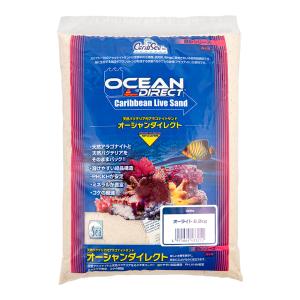 カミハタ カリブシー アラガライブ SPグレード リーフサンド