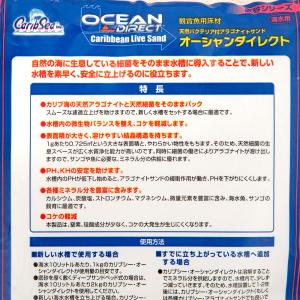 カミハタ カリブシー オーシャンダイレクト オ...の詳細画像2