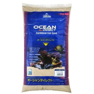 海水　アラガライブ　バハマオーライト　底砂 白さが違う！バハマ諸島の砂浜のようにきれいで真っ白なパウダーサンゴ