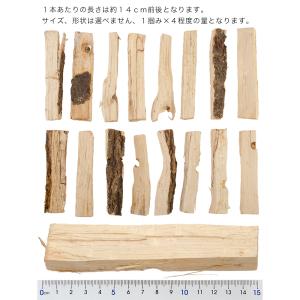 転倒防止材パック 昆虫 カブトムシ クワガタ ...の詳細画像1